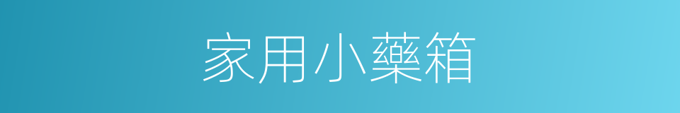 家用小藥箱的同義詞