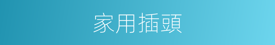家用插頭的同義詞