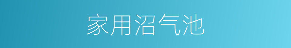 家用沼气池的同义词
