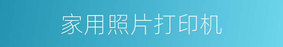 家用照片打印机的同义词