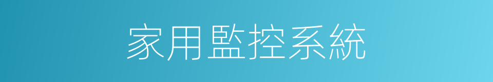 家用監控系統的同義詞