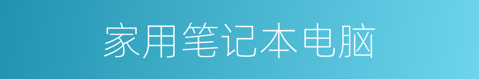 家用笔记本电脑的同义词