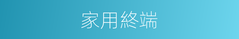 家用終端的同義詞