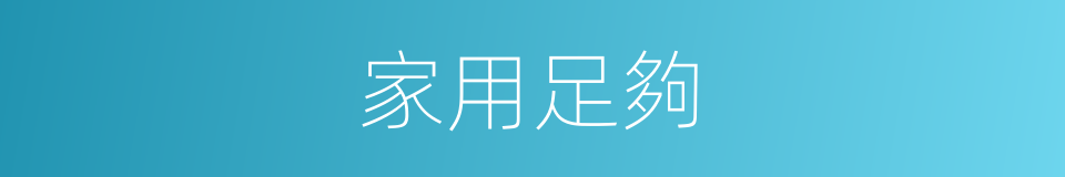 家用足夠的同義詞