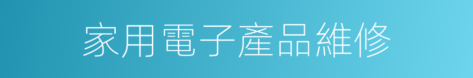 家用電子產品維修的同義詞