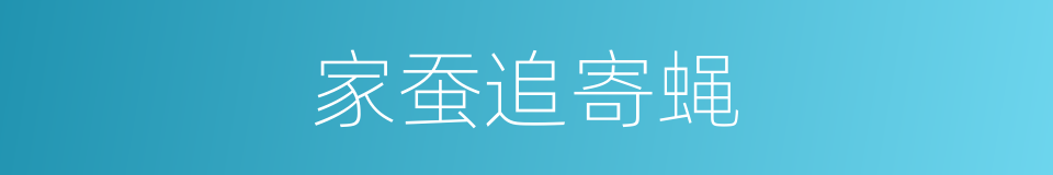家蚕追寄蝇的同义词