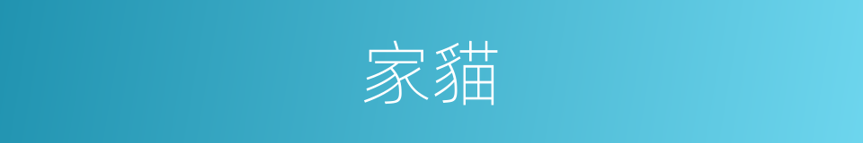 家貓的同義詞