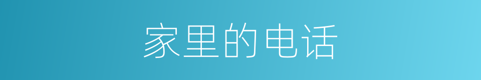 家里的电话的同义词
