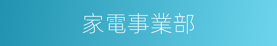 家電事業部的同義詞