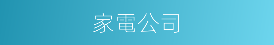 家電公司的同義詞