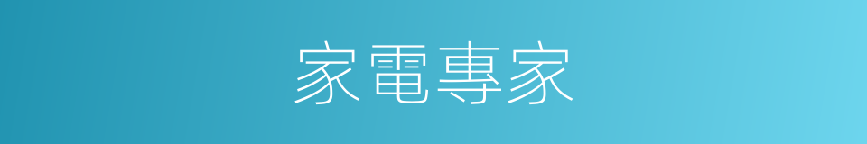 家電專家的同義詞