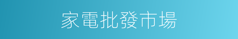 家電批發市場的同義詞