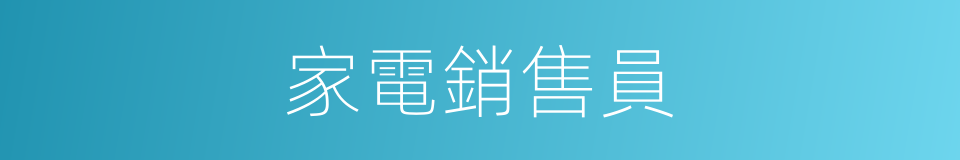 家電銷售員的同義詞