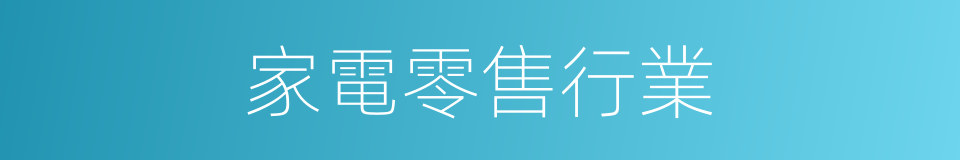 家電零售行業的同義詞