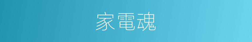 家電魂的同義詞