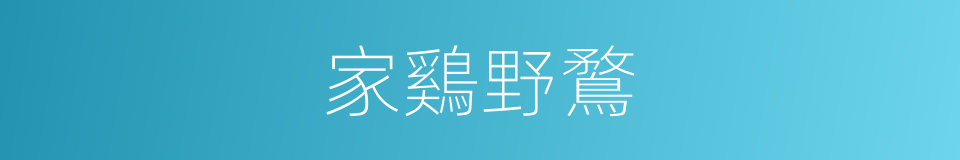 家鷄野鶩的同義詞