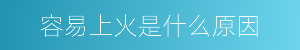 容易上火是什么原因的同义词