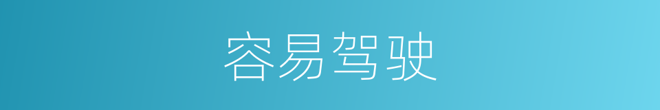 容易驾驶的同义词