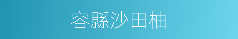 容縣沙田柚的同義詞