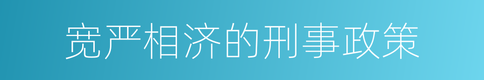 宽严相济的刑事政策的同义词