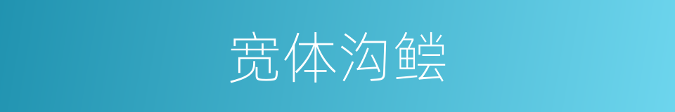宽体沟鲿的同义词