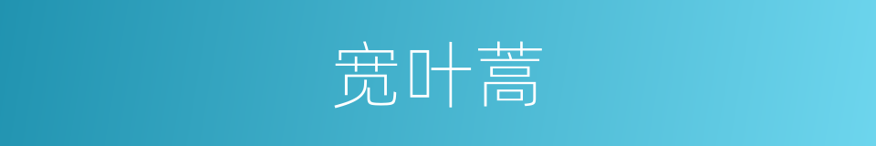 宽叶蒿的同义词