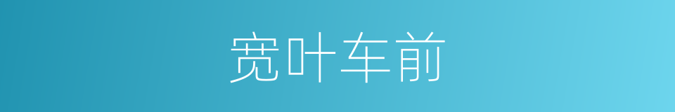 宽叶车前的意思