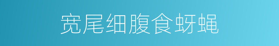 宽尾细腹食蚜蝇的同义词