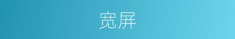 宽屏的意思