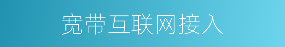 宽带互联网接入的同义词