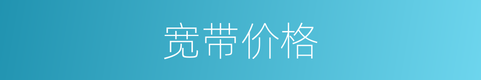 宽带价格的同义词