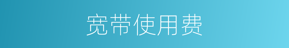 宽带使用费的同义词