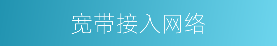 宽带接入网络的同义词