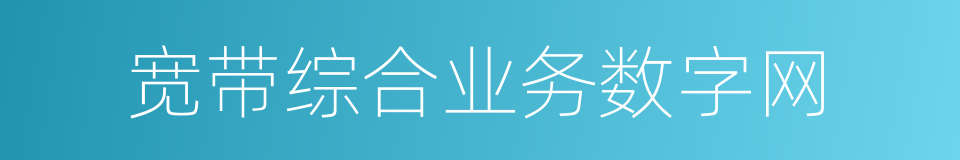 宽带综合业务数字网的同义词
