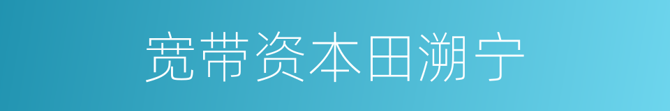 宽带资本田溯宁的同义词