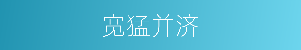 宽猛并济的意思