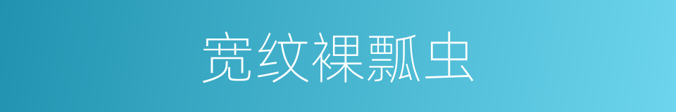 宽纹裸瓢虫的同义词