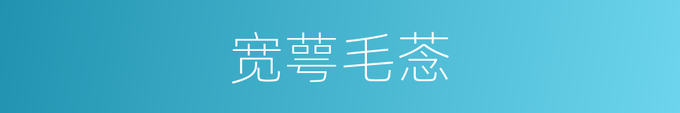 宽萼毛菍的同义词