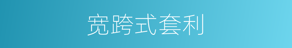 宽跨式套利的同义词