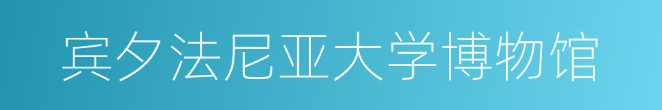 宾夕法尼亚大学博物馆的同义词