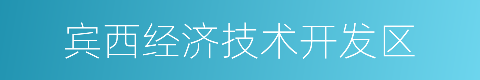 宾西经济技术开发区的同义词