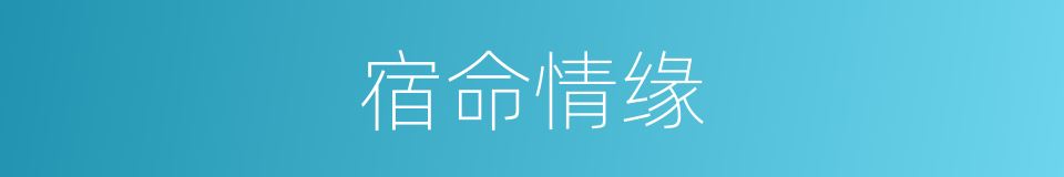 宿命情缘的意思