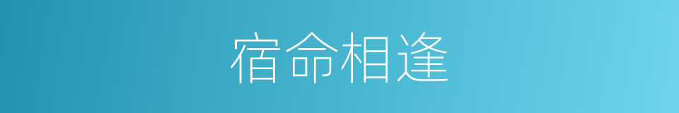 宿命相逢的同义词