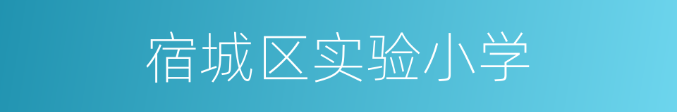 宿城区实验小学的同义词