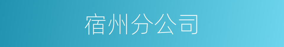 宿州分公司的同义词