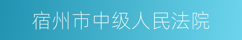 宿州市中级人民法院的同义词