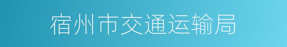 宿州市交通运输局的同义词