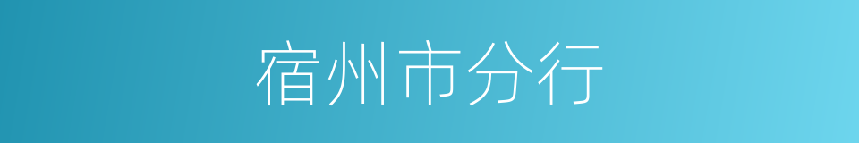 宿州市分行的同义词