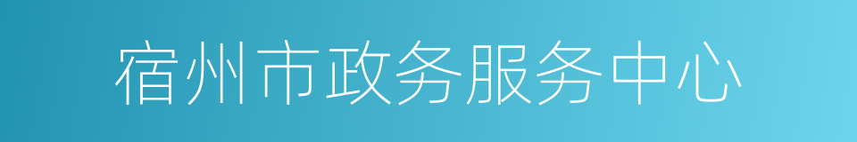 宿州市政务服务中心的同义词