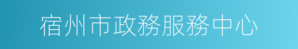 宿州市政務服務中心的同義詞